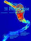 Cover of New Phytologist, featuring study using the protocol.
