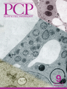 Cover of Plant & Cell Physiology, featuring study using the protocol.