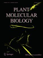 Cover of Plant Molecular Biology, featuring study using the protocol.