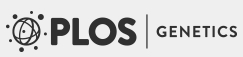 Cover of PLOS Genetics, featuring study using the protocol.