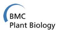 Cover of BMC Plant Biology, featuring study using the protocol.