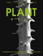 Cover of The Plant Cell, featuring study using the protocol.