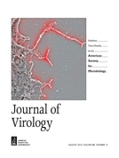Cover of Journal of Virology, featuring study using the protocol.