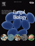 Cover of Fungal Biology, featuring study using the protocol.