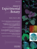 Cover of Journal of Experimental Botany, featuring study using the protocol.