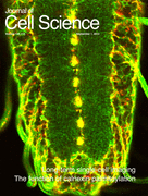 Cover of Journal of Cell Science, featuring study using the protocol.