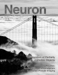 Cover of Neuron, featuring study using the protocol.