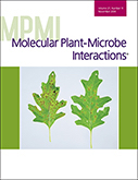 Cover of Molecular Plant Microbe Interactions, featuring study using the protocol.