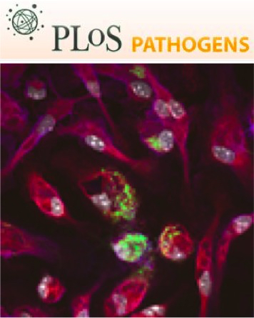 Cover of PLOS Pathogens, featuring study using the protocol.