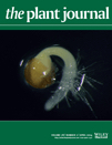 Cover of The Plant Journal, featuring study using the protocol.