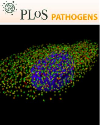 Cover of PLOS Pathogens, featuring study using the protocol.