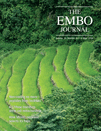 Cover of The EMBO Journal, featuring study using the protocol.