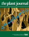 Cover of The Plant Journal, featuring study using the protocol.