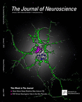 Cover of The Journal of Neuroscience, featuring study using the protocol.