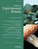 Cover of Journal of Experimental Botany, featuring study using the protocol.