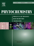 Cover of Phytochemistry, featuring study using the protocol.