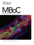 Cover of Molecular Biology of the Cell, featuring study using the protocol.