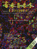 Cover of Genes & Development, featuring study using the protocol.