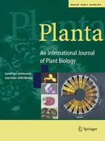 Cover of Planta, featuring study using the protocol.