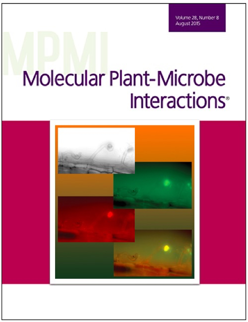 Cover of Molecular Plant Microbe Interactions, featuring study using the protocol.