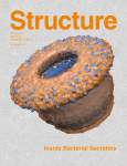 Cover of Structure, featuring study using the protocol.