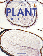 Cover of The Plant Cell, featuring study using the protocol.