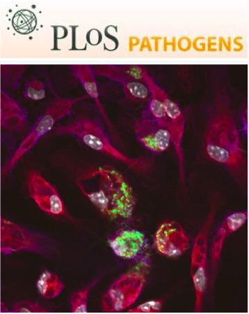 Cover of PLOS Pathogens, featuring study using the protocol.