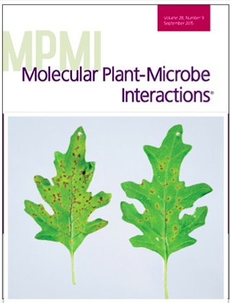 Cover of Molecular Plant Microbe Interactions, featuring study using the protocol.