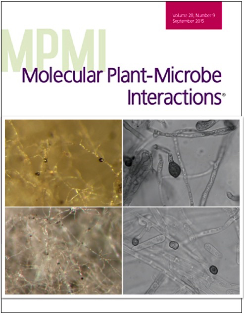 Cover of Molecular Plant Microbe Interactions, featuring study using the protocol.