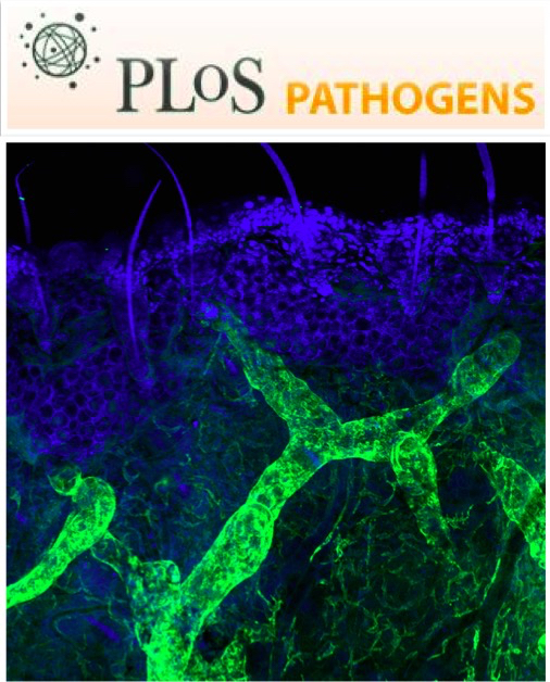 Cover of PLOS Pathogens, featuring study using the protocol.