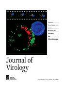 Cover of Journal of Virology, featuring study using the protocol.