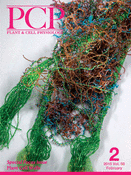 Cover of Plant & Cell Physiology, featuring study using the protocol.
