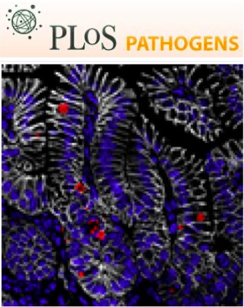 Cover of PLOS Pathogens, featuring study using the protocol.