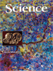 Cover of Science, featuring study using the protocol.