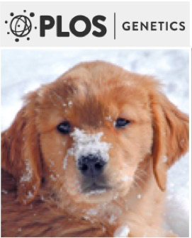 Cover of PLOS Genetics, featuring study using the protocol.
