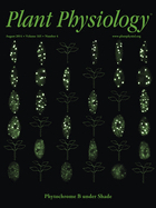 Cover of Plant Physiology, featuring study using the protocol.