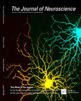 Cover of The Journal of Neuroscience, featuring study using the protocol.