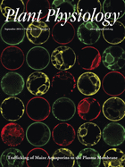 Cover of Plant Physiology, featuring study using the protocol.