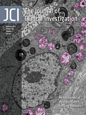 Cover of The Journal of Clinical Investigation, featuring study using the protocol.