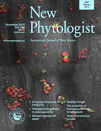 Cover of New Phytologist, featuring study using the protocol.