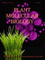 Cover of Plant Molecular Biology, featuring study using the protocol.