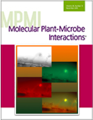 Cover of Molecular Plant Microbe Interactions, featuring study using the protocol.