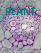 Cover of The Plant Cell, featuring study using the protocol.