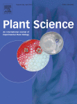 Cover of Plant Science, featuring study using the protocol.