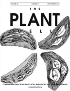 Cover of The Plant Cell, featuring study using the protocol.
