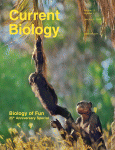 Cover of Current Biology, featuring study using the protocol.