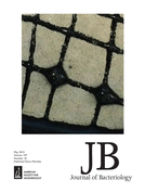 Cover of Journal of Bacteriology, featuring study using the protocol.