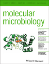 Cover of Molecular Microbiology, featuring study using the protocol.