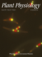 Cover of Plant Physiology, featuring study using the protocol.