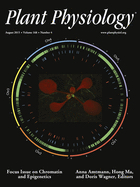 Cover of Plant Physiology, featuring study using the protocol.